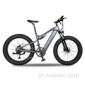 Bicicleta de pneu de baixo carbono elétrico